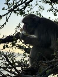 お出かけの話Ⅱ