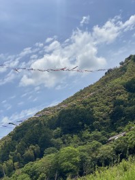 武田の休日日誌