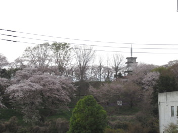 そろそろお花見車検も終わりを迎え、新たなる企画考案中です！