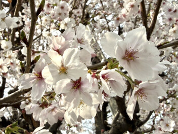 オープンして２週間が経ちました！！