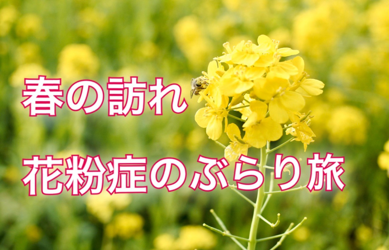春の訪れ 花粉症のぶらり旅 周辺のおすすめスポット お店ブログ 株式会社スズキ自販湘南 スズキアリーナ湘南おだわら 小田原中古車センター