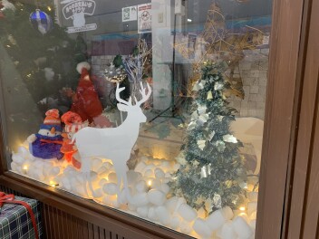 ショールームにクリスマスツリー登場(*´▽｀*)★★