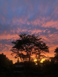 夕焼け雲がすごかった～！！