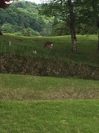 ツッキーの休日♪