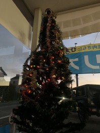 クリスマスツリー飾りました