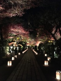 スイフトお出かけ日記