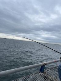 お出かけ日和！