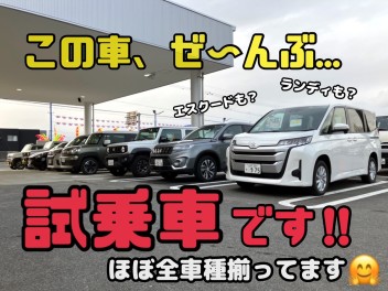 フェア期間限定★試乗車ほぼ全車種勢揃い!!