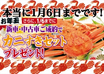 !!!１／６(日)まで!!!カニすきセットプレゼント