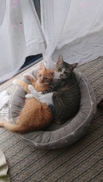 当店従業員家族紹介！