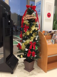 クリスマスツリーが来ました！