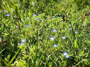 ☆　３月が終わる！　☆