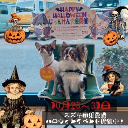 毎年恒例のハロウィンイベント開催中！