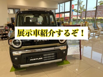 ハスラータフワイルド展示車みれます！！
