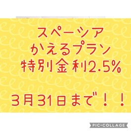 ３月３１日まで！
