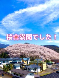 松本も春です！！！！