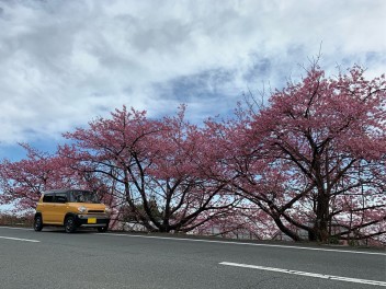 スズキの大決算　開催です！！