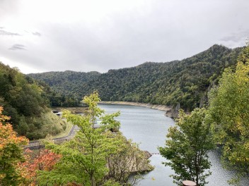 紅葉の季節です！