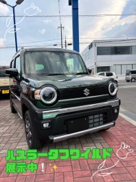 ハスラータフワイルド展示しております！！！