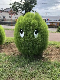 本日から営業再開してます★