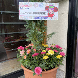 2022福山ばら祭り！