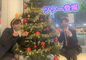 クリスマスツリー登場☆★