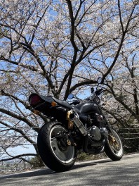休日日誌『和泉店長』