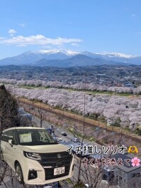 鈴木イチ押し！ソリオ☆さくらを添えて．．．