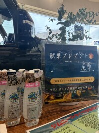 試乗キャンペーン✨