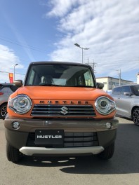 展示車入りました！！