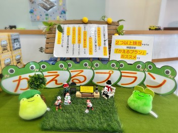 ！！かえるプランおすすめです！！