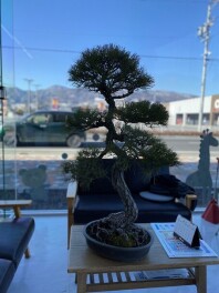 会長の