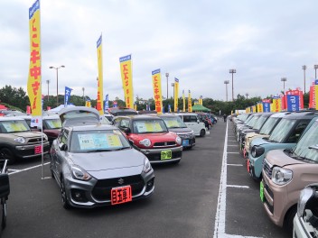 ！中古車大展示会開催中！