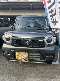 ハスラー新旧対決！（外装編）