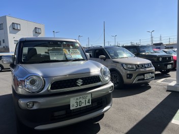 だんだんと暖かくなってきましたね