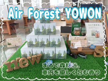 まるで森林浴。車内を優しく包む『Air Forest  YOWON』
