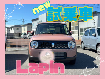 かわいい色味のラパンがやってきました ⋆ᙏ *