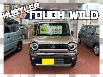 中古ハスラーが仲間入り☪︎ ִ ˚