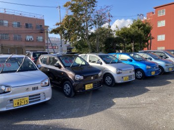 ☆土日展示会開催☆