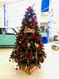 気分はもうクリスマス、、