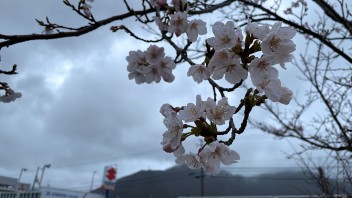 ～４月より定休日が変わります～