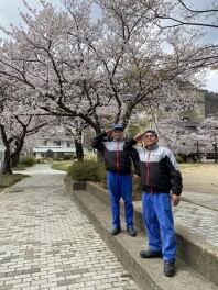 お花見