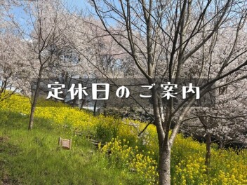 29日は定休日です