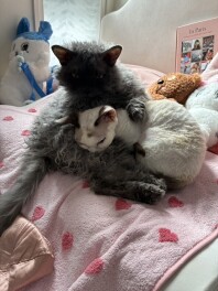 ゴールデンウイーク４日目☆