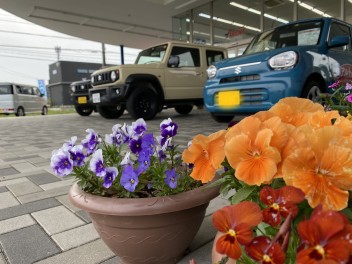 ◆◇◆◇　Ｇ.Ｗ.休業のお知らせ　◆◇◆◇