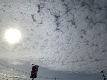 うろこ雲...？羊雲...？