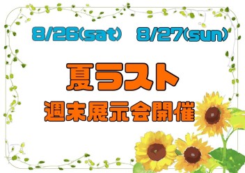 低燃費車種充実！夏ラスト週末展示会開催♪