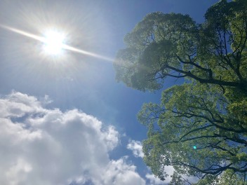 ８月１８日(日)より営業しております☆