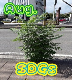 ★SDGs清掃活動★