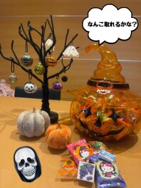 ハロウィンが今年もやって来る～♪